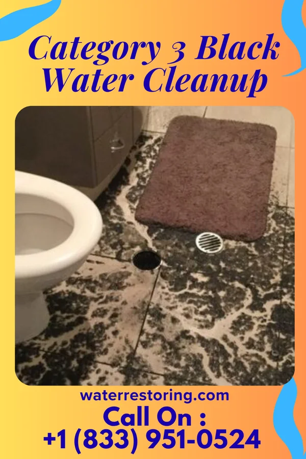 Category 3 Black Water Cleanup in Lyons, KS